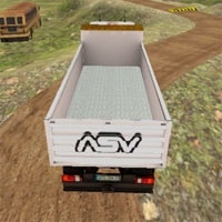 Indian Truck Simulator 3D game