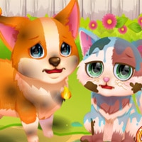Funny Rescue Pet game