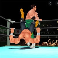 Virtual Pro-Wrestling 2 game