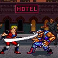 Double Dragon V: The Shadow Falls game