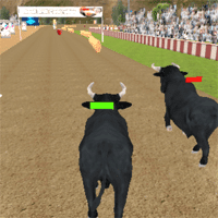 Angry Bull Racing
